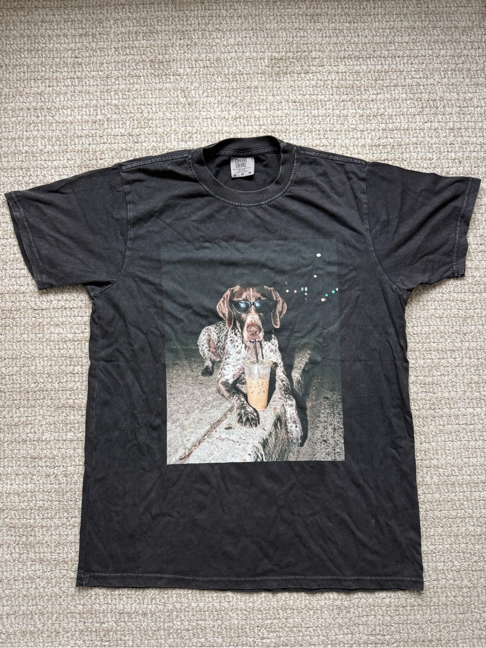 Comfort Colors German Shorthaired Pointer Iced Coffee Graphic Tee